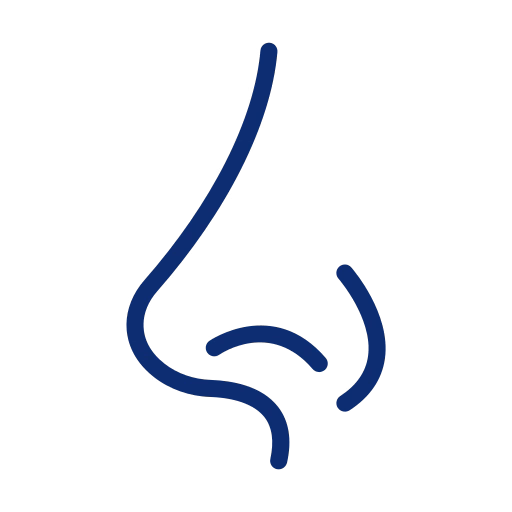 Cirurgia Nasal e Sinusite em Campo Grande MS